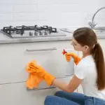 fast home cleaning tips