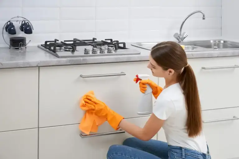 fast home cleaning tips