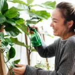 eco friendly products sustainable living Czech Republic