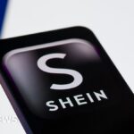 Francouzský soud zamítl návrh na pozastavení webových stránek Shein kvůli dětským sexuálním loutkám