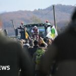 Konflikt mezi francouzskými farmáři a vládou kvůli likvidaci krav kvůli LSD