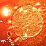 Spermární darce s genem způsobujícím rakovinu: téměř 200 narozených dětí a riziko genetické mutace