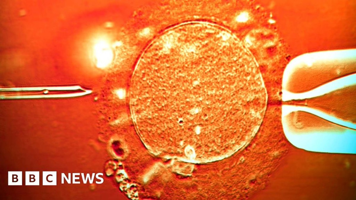 Spermární darce s genem způsobujícím rakovinu: téměř 200 narozených dětí a riziko genetické mutace